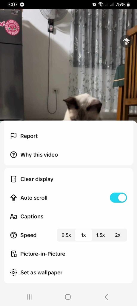 High Social’s screenshot shows how to enable TikTok’s autoplay feature. 
