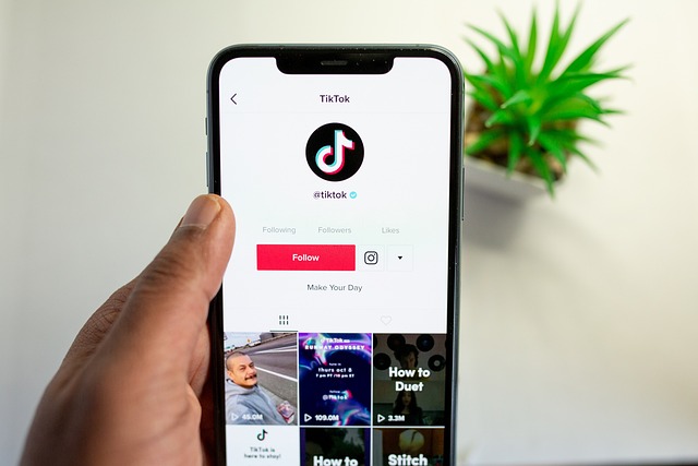 A person holds a phone showing TikTok’s profile on TikTok.
