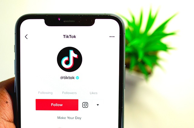 A smartphone displays TikTok’s profile on TikTok with a plant vase in the background.
