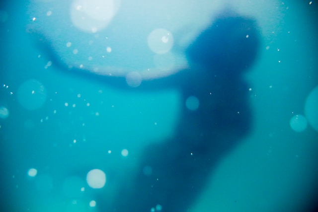 A silhouette of a woman swimming underwater. 