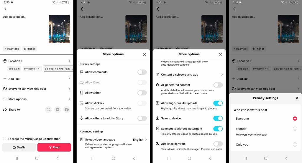 High Social’s screenshots show TikTok’s Post page and its available options. 
