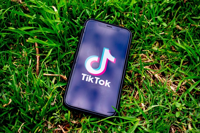 A phone on the grass displays the TikTok logo.
