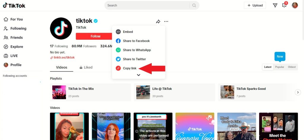 High Social’s screenshot shows TikTok’s official page and how to find its URL. 
