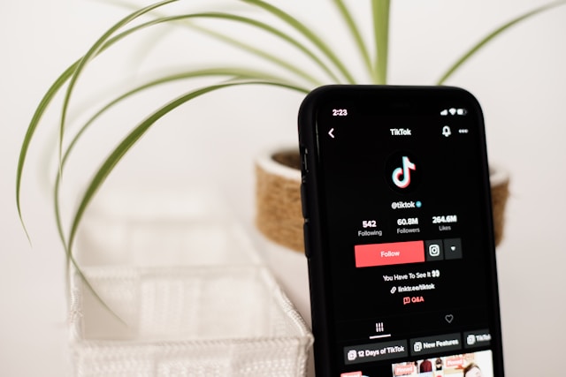 A phone screen displays TikTok’s official page on the platform. 
