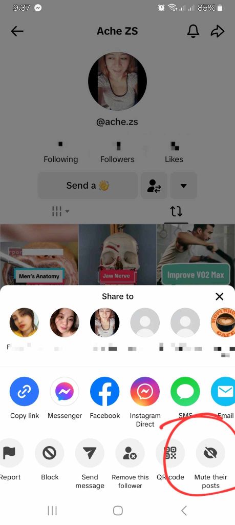 High Social’s screenshot shows how to mute an account on TikTok. 
