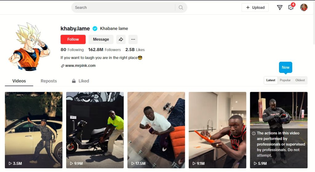 High Social’s screenshot shows Khabane Lame’s TikTok profile page. 
