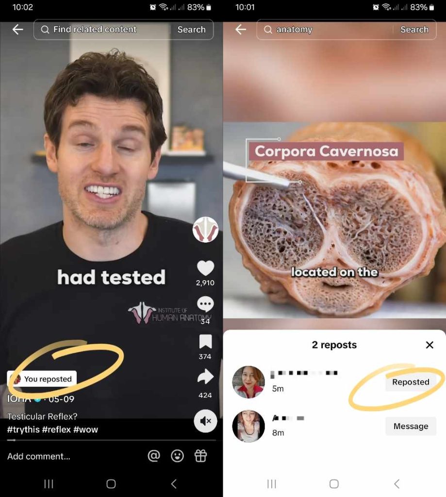 High Social’s screenshots of how to view reposts on TikTok.

