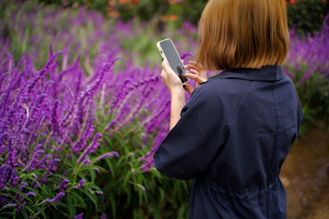 A girl takes a video of a field of flowers for her TikTok page. 
