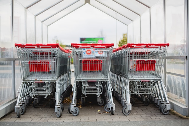 Rows of empty shopping carts. 
